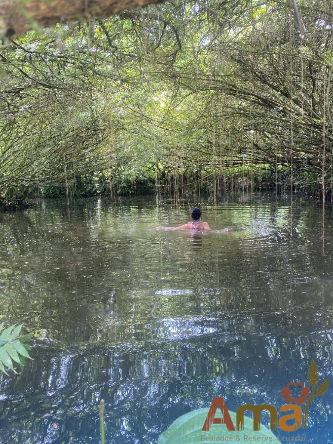 Ama Ecolodge Puerto Misahuallí Kültér fotó