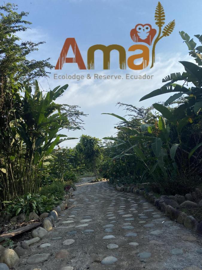 Ama Ecolodge Puerto Misahuallí Kültér fotó